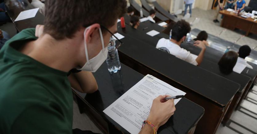 Medicina Scocca Lora Dei Tolc Due Finestre Lanno Anche In Quarta