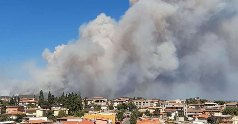 Incendi In Sardegna La Conta Dei Danni Tra Aziende Agricole E Attivit