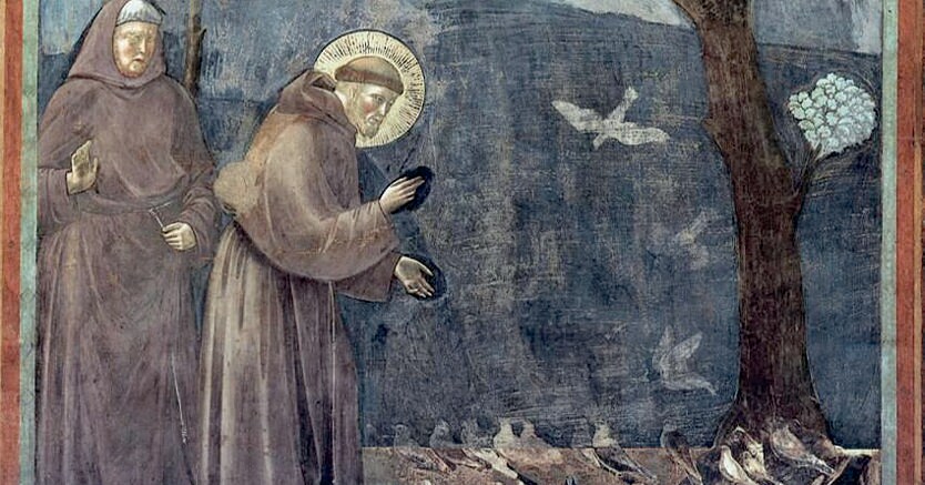 Giotto. «La Predica agli uccelli» ( particolare), 1295-1299, Assisi, Basilica Superiore  di S. Francesco