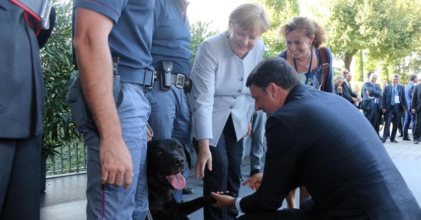 Il premier  Matteo Renzi con la cancelliera tedesca Angela Merkel incontrano a Maranello, durante il summit bilaterale Italia-Germania, i soccorritori del terremoto; con loro c’è anche il labrador Leo  (Ansa)