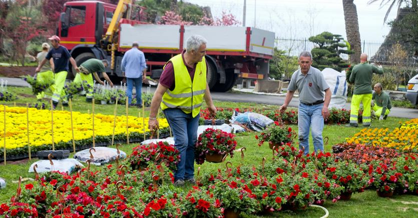Euroflora