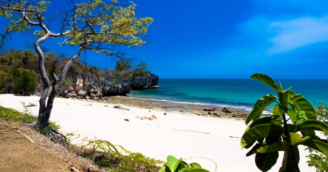 Spiagge di sabbia bianchissima, mare cristallino e natura selvaggia. Il Madagascar è il paradiso sei naturalisti