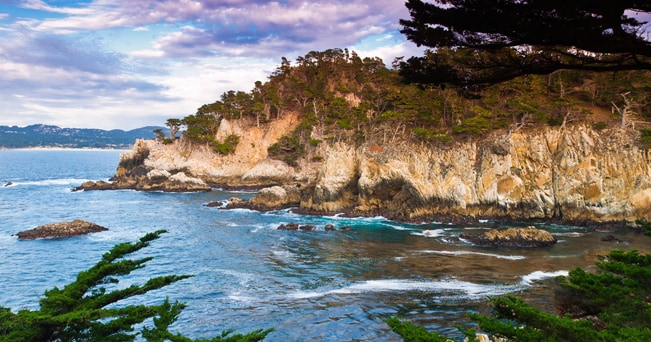 Cypress Grove Trail, nella riserva di Point Lobos (foto Alamy/Milestone Media)