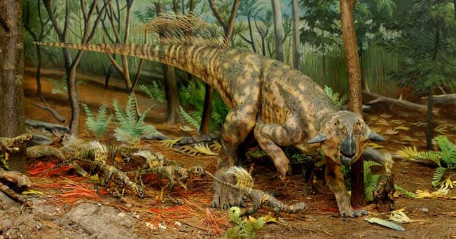 Lo Psittacosaurus sinensis, un piccolo dinosauro erbivoro