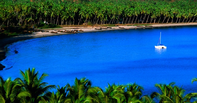 Una spiaggia di Goa bordata dai palmeti (foto Blaine Harrington III / Alamy)