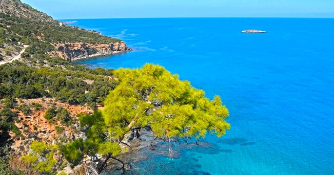 La costa selvaggia della penisola di Akamas (foto Almay/Milestone Media)