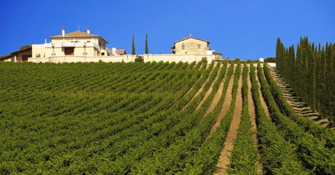 Un casale ristrutturato, con vigneto, nelle Langhe. Il Piemonte regione sta vivendo un momento vivace, ricco di richieste da parte di compratori stranieri  