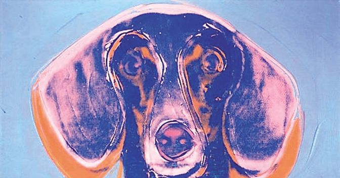 . Archie, il bassotto di Andy Warhol   ritratto dall’artista (1976) 