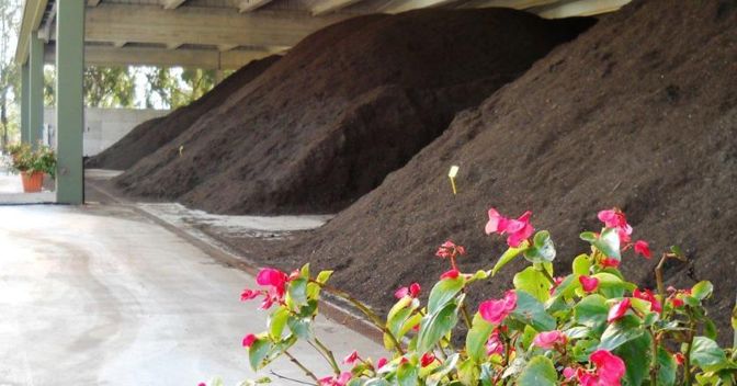 Compost 