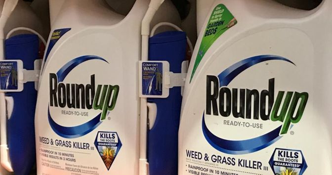 Il pesticida Roundup prodotto dalla Monsanto (Reuters)