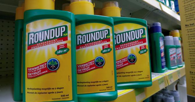 Il diserbante Roundup causa il cancro». Bayer crolla in Borsa - Il Sole 24  ORE