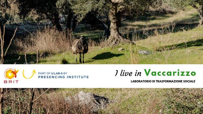 Il banner del progetto «I live in Vaccarizzo», selezionato dal Mit di Boston 