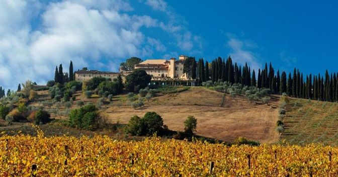 In Val di Pesa. Caccia al tubero nelle numerose tartufaie  