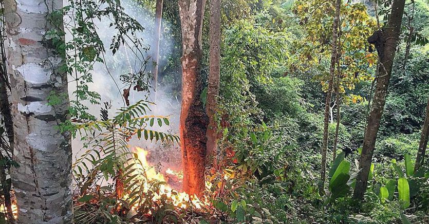 Amazzonia, Macron accusa Bolsonaro: «Ha mentito». E minaccia lo stop al libero scambio Ue-Mercosur