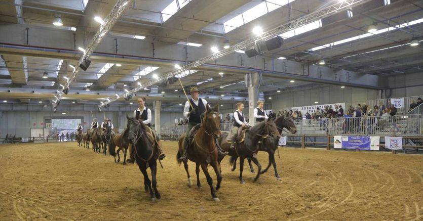 siti di incontri equestri USA