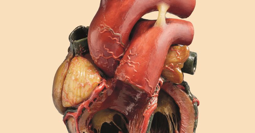 Cuore Tenero O Matto Da Legare Il Sole 24 Ore