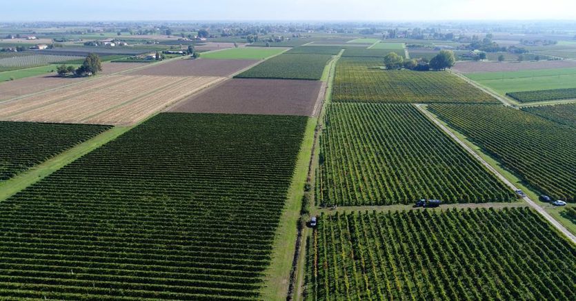 Coldiretti, nasce un Polo contro lo strapotere di poche multinazionali