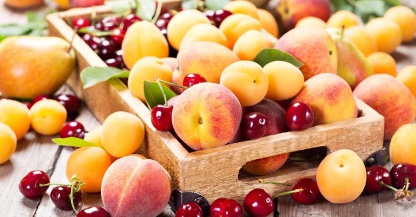 Frutta e verdura biologica, nuovo polo dall’accordo tra Agribologna e Bia