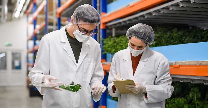 Vertical farm, erbe officinali con più principi attivi e vegetali più nutrienti