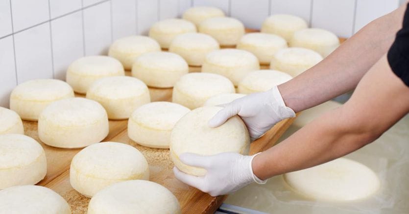 Formaggio protagonista della crescita record dell’export agroalimentare