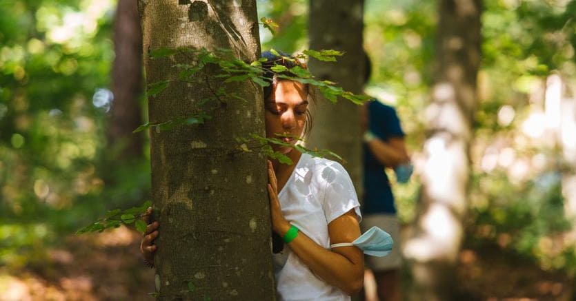 Mindfulness, perception walking, forest bathing: la montagna a cinque sensi sulle Dolomiti della Paganella