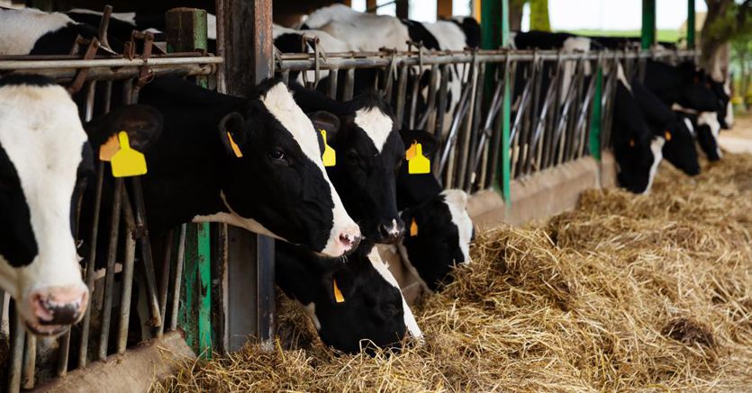 Ismea: costi agricoli e inflazione in crescita, ma l’indice di fiducia torna positivo