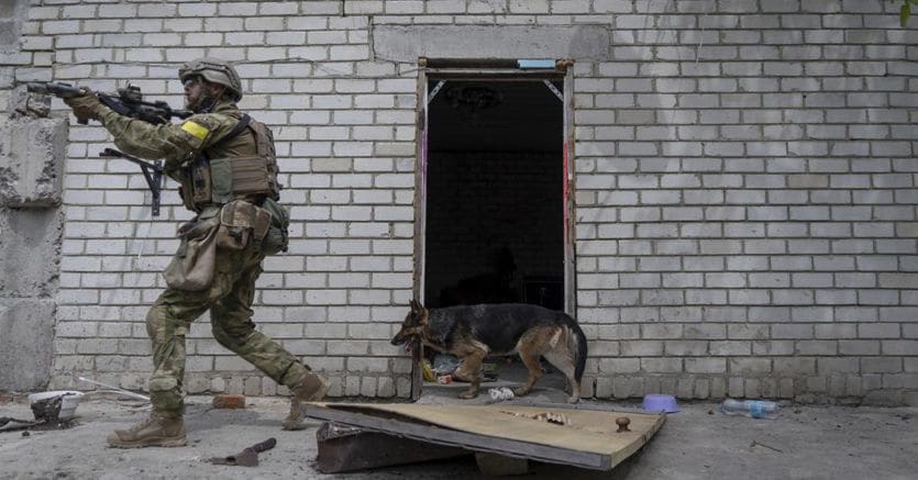 Ucraina ultime notizie. Zelensky:?«Nel Donbass è un inferno». Azovstal, vice comandante Azov smentisce la resa