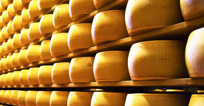Covidのシャットダウン後、イタリアのチーズの輸入が日本で増加しています