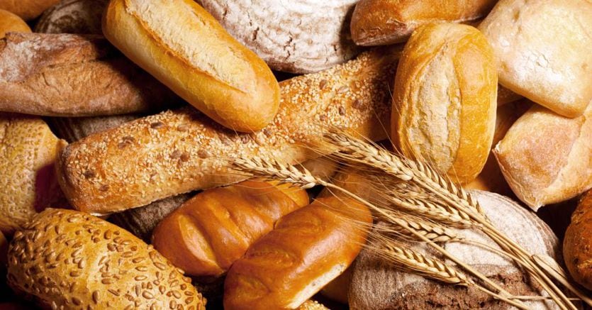 Inflazione, il prezzo del pane aumenta del 13,6%