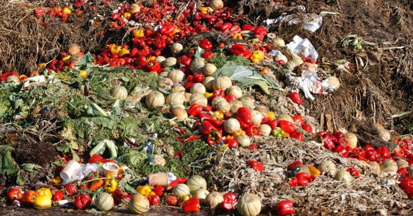 Un italiano su tre pronto a tagliare gli sprechi alimentari