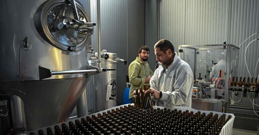 Made in Italy breweries, the cost of raw materials eliminates margins