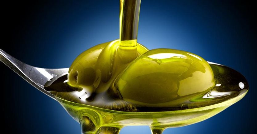 Olio extravergine, l’Enea studia la tracciabilità delle olive contro le frodi