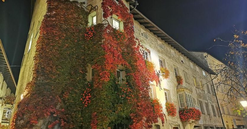 Foliage e sentieri, vino e castagne: la magia del Törggelen in Valle Isarco