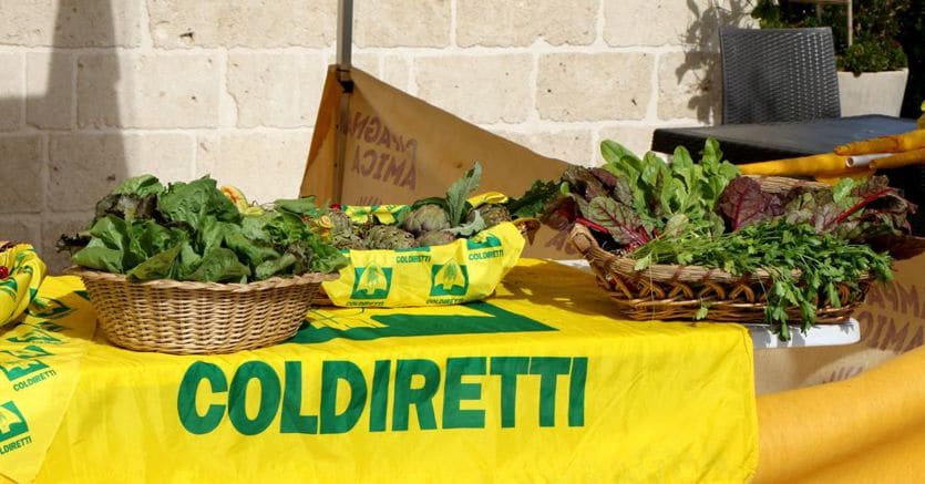 Al Forum Coldiretti la Ue tende una mano agli agricoltori su fitofarmaci ed emissioni