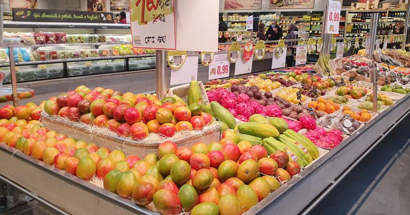 Sempre più cibo etnico in tavola: aziende e agricoltori italiani si adeguano