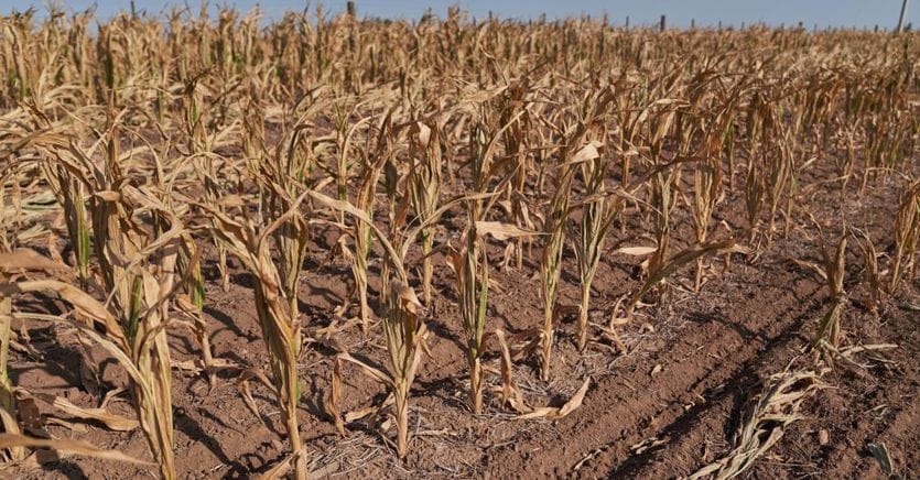 Drought, damage for 6 billion to businesses