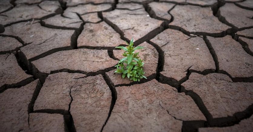 La biodiversità essenziale per l’umanità: alla portata l’inversione di tendenza
