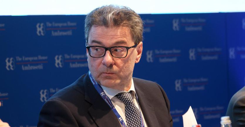 Tim Giorgetti 