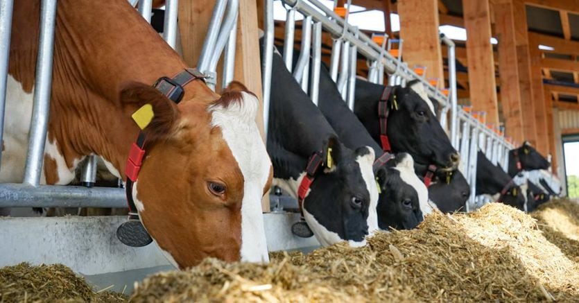 The EU goes ahead on farms: they pollute like industries