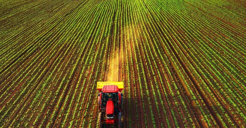 Confagricoltura: con la direttiva Ue sul ripristino della natura a rischio il 10% dei campi