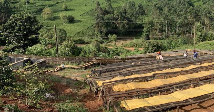 Cooperazione, così la ricchezza del caffè resta ai produttori locali