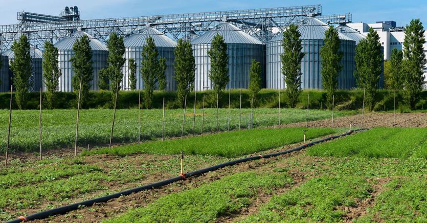 Barilla e Davines insieme per la tutela della biodiversità in agricoltura