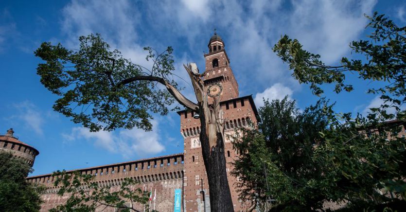 Clima, a Milano inverno con soli 7 giorni di pioggia e 1,3 gradi in più 