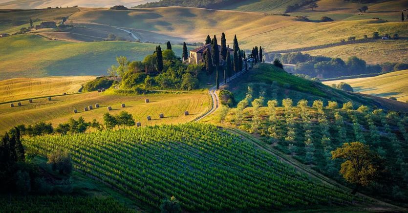 Montepulciano e la Toscana regine del turismo tra i vigneti secondo Airbnb