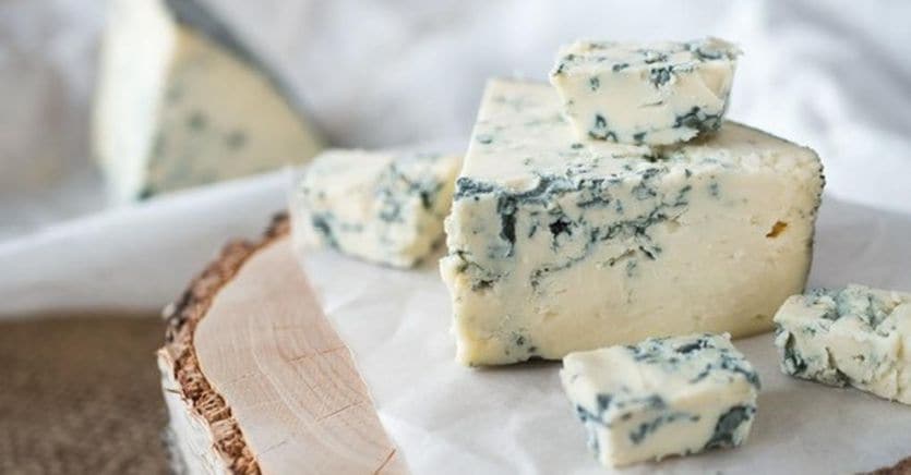 Nasce Abisso, il formaggio sardo impreziosito dall’acqua di mare