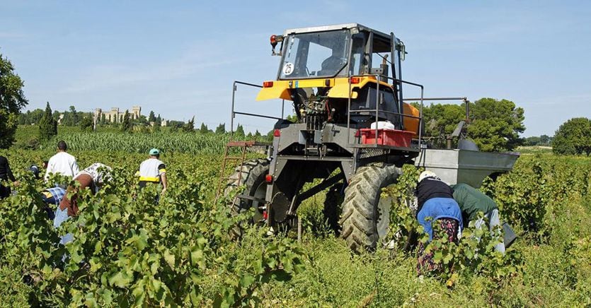 Agricoltura essenziale contro i cambiamenti climatici e nella sostenibilità per il 70% degli italiani