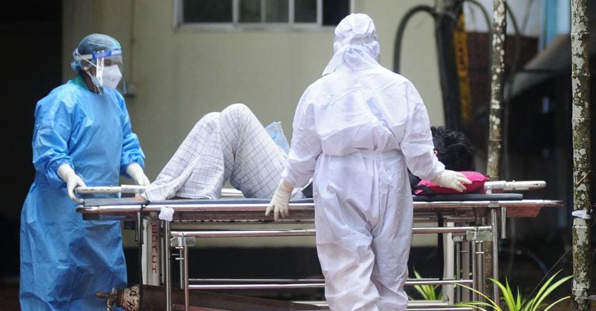 Virus Nipah in India: è la nuova pandemia?