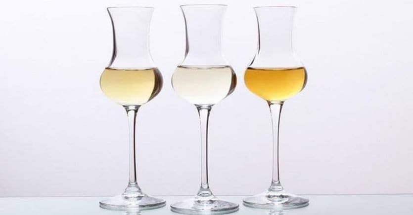 Grappa, in 3 anni l’export è cresciuto del 32% (ma il 2023 è in frenata)