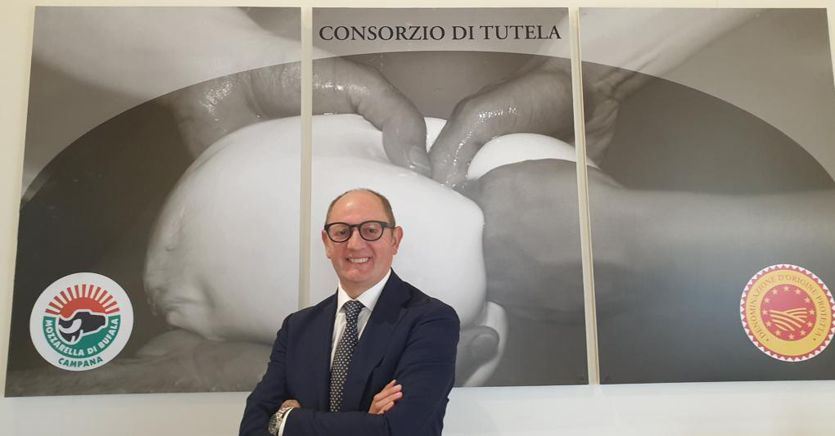 Mozzarella di Bufala Campana Dop, Raimondo confermato alla presidenza