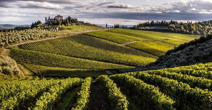 Frescobaldi, Antinori, Santa Margherita, Lunelli e Argea: ecco le cantine «quotabili»